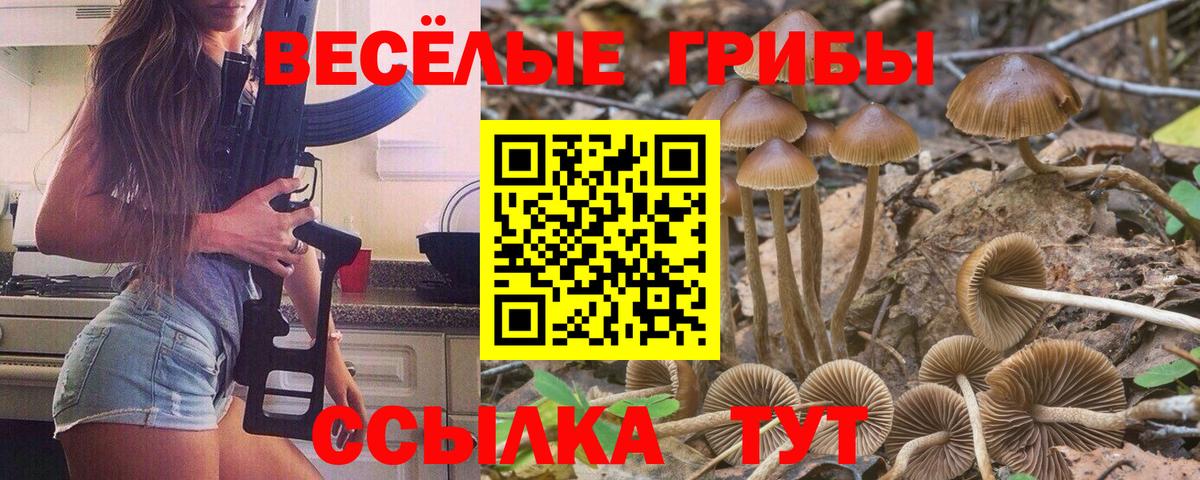 Салехард  Псилоцибиновые грибы ЛСД  Псилоцибиновые грибы GOLDEN TEACHER  Вход с VPN 
